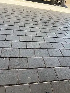 kamo012000 online show from 02-11-26, 10:09