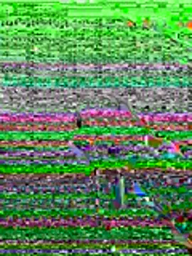 kamo012000 online show from 06-19-26, 10:08