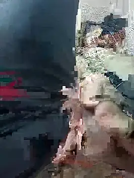 svvagesexyy online show from 01-13-26, 07:41