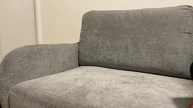 Snapshot of p-nyan4 chatting on 02-23-26, 06:00 p-nyan4 online show from 02-23-26, 06:00