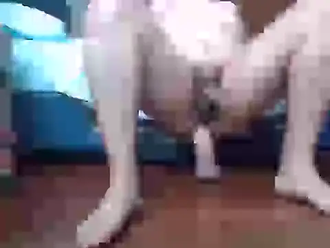 Culazodeantonellarocuzzo online show from 09-15-25, 03:34