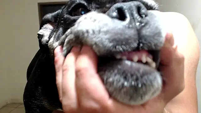 BlondZilla online show from 03-18-26, 06:27