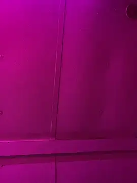 jcwxt online show from 03-01-26, 11:56