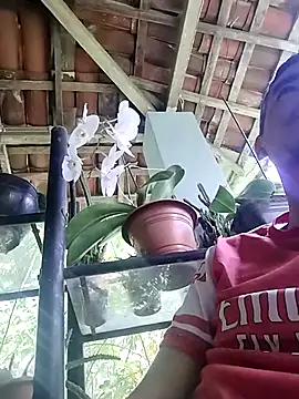 Boragozarvem online show from 10-07-25, 02:58