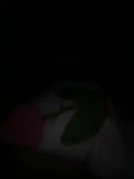 tarantan1993 online show from 03-05-26, 11:01