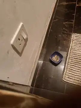 HootedTuner online show from 11-13-25, 08:08