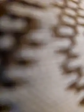 mojaymort online show from 11-11-25, 10:54