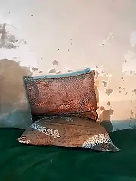 Snapshot of ParousFlow chatting on 12-18-25, 08:26 ParousFlow online show from 12-18-25, 08:26