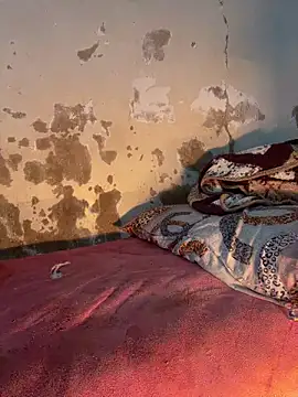 Snapshot of ParousFlow chatting on 03-14-26, 01:23 ParousFlow online show from 03-14-26, 01:23