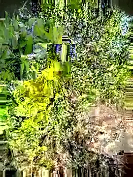 Desi Horny Boys online show from 05-03-26, 03:12