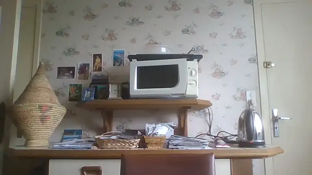 gegevincent online show from 05-10-26, 01:27