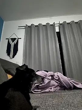 Snapshot of mikeara90 chatting on 10-22-25, 10:31 mikeara90 online show from 10-22-25, 10:31