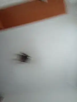 Hottiesophie online show from 03-25-26, 04:13