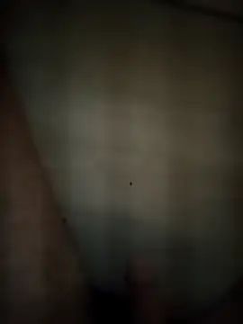 Patressssss online show from 04-18-26, 09:15