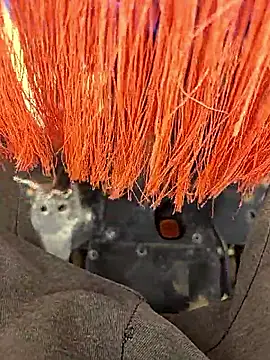 Telugu person12 online show from 01-12-26, 07:57