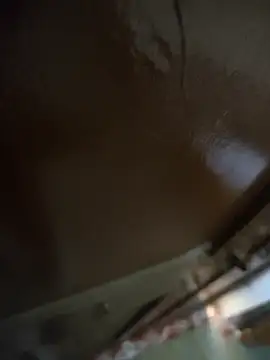 Telugu person12 online show from 02-02-26, 08:46