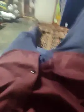 Telugu person12 online show from 03-16-26, 03:38