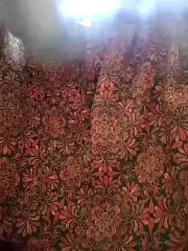 Snapshot of aunty_sumy chatting on 02-04-26, 04:07 aunty sumy online show from 02-04-26, 04:07