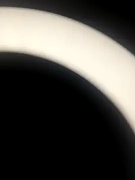 Snapshot of sapna_2121 chatting on 11-19-25, 07:08 sapna 2121 online show from 11-19-25, 07:08