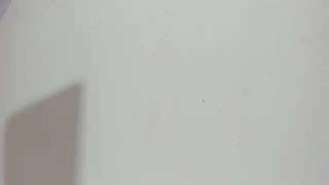 Snapshot of Sophia_Ebony chatting on 05-15-26, 12:12 Sophia Ebony online show from 05-15-26, 12:12
