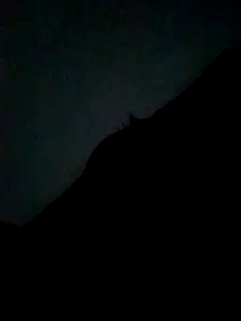 Snapshot of CatchingBouquet chatting on 09-21-25, 07:37 CatchingBouquet online show from 09-21-25, 07:37