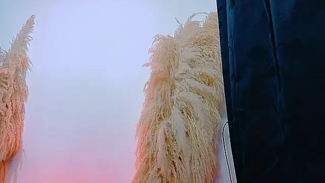 JulietaDavis online show from 02-22-26, 09:41