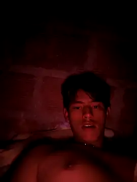 Snapshot of Hiroshi_Shen chatting on 04-04-26, 03:49 Hiroshi Shen online show from 04-04-26, 03:49