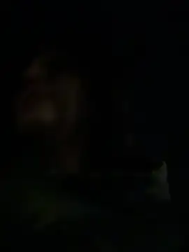 addictedtoari online show from 02-08-26, 03:54