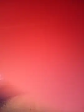 RosenRot07 online show from 01-31-26, 11:25