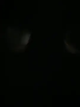 Snapshot of Archie-Davis chatting on 10-31-25, 07:26 Archie-Davis online show from 10-31-25, 07:26