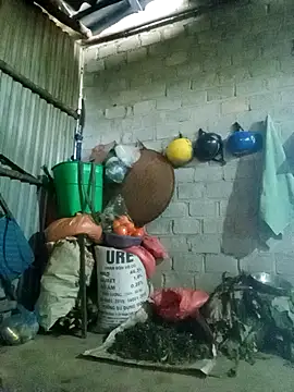 jienrrr online show from 02-18-26, 12:28