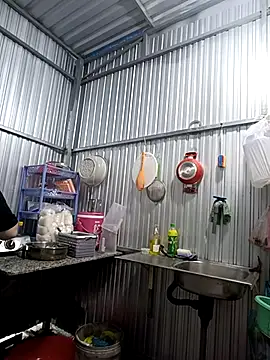 Cindy237st online show from 11-17-25, 08:53