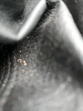 legaros online show from 10-19-25, 08:04