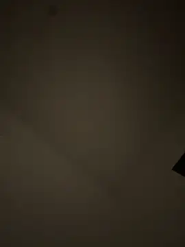 Lapampara0 online show from 10-23-25, 10:52