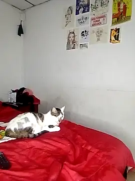 venusobryan 55 online show from 09-18-25, 11:07