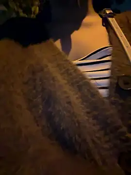 Meii-meyy online show from 01-16-26, 02:54