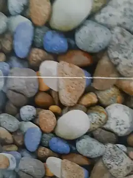 coocon2020 online show from 10-28-25, 01:31