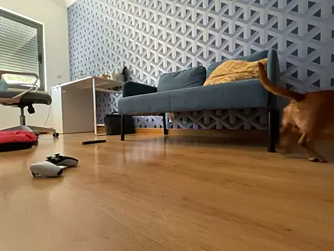 cumman789860 online show from 10-02-25, 02:35