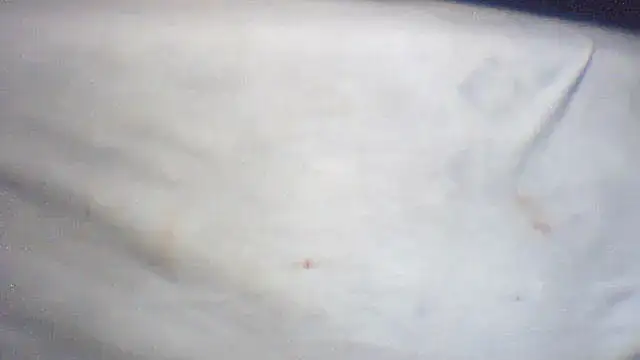 pietje1991 online show from 02-25-26, 01:43