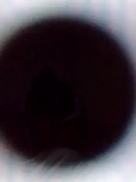 Cumnowd1 online show from 10-19-25, 01:28