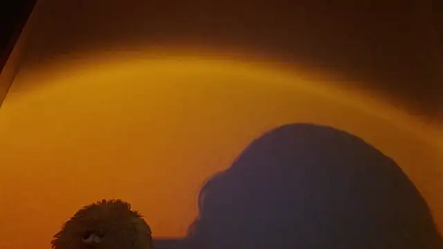 lia ana online show from 03-24-26, 05:34