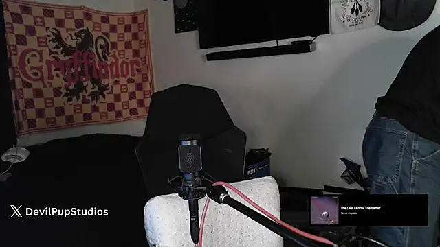 DevilPup75  online show from 11-06-25, 03:29