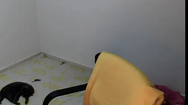 meganmiauu online show from 05-11-26, 04:04