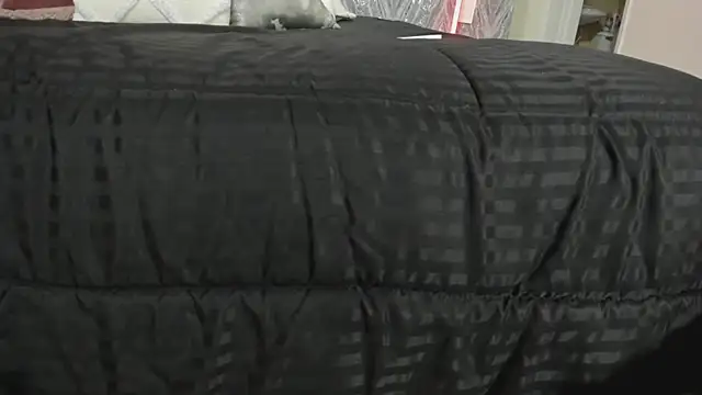 MartinaRizzi online show from 02-21-26, 08:43