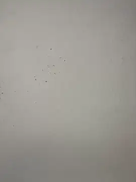 vincentjaxon online show from 11-27-25, 07:05