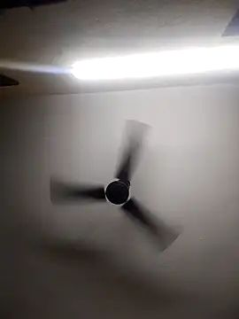 Devi-with-Ram online show from 10-13-25, 04:34