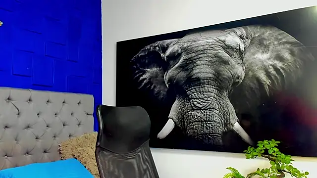 andres-clark92 online show from 03-02-26, 05:20