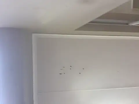 Snapshot of sex-machanic chatting on 11-28-25, 03:31 sex-machanic online show from 11-28-25, 03:31