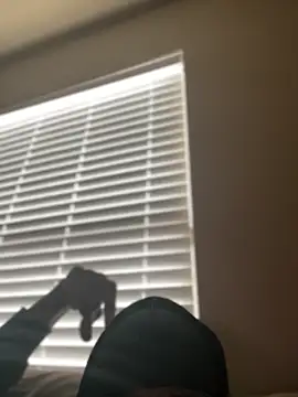 Dolla-Billlz online show from 03-15-26, 02:45