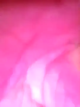 Juniorharo1982 online show from 04-15-26, 08:21